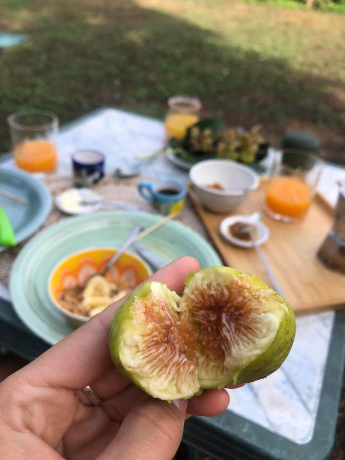 Habitat Eco Farm 호텔 소렌토 외부 사진